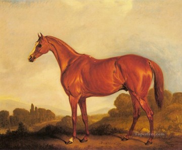 horse cats Painting - A Portrait Of The Racehorse Harkaway horse John Ferneley Snr